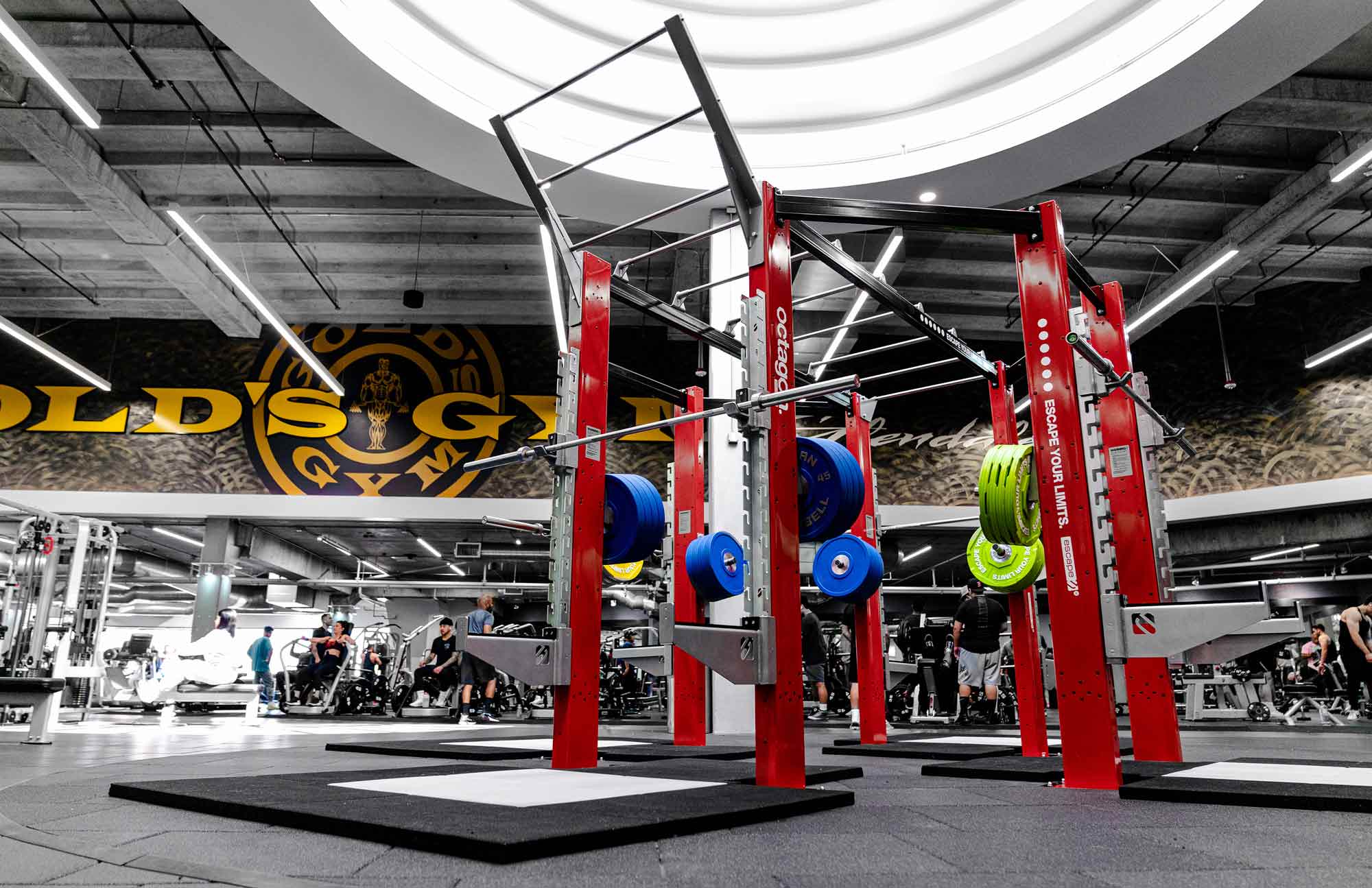 Escape Fitness Functional TRAZER